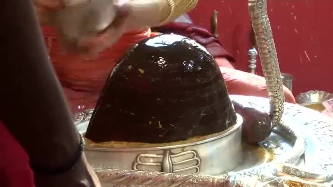 ⁣Maha Rudra Abhishek Pooja | Shri Shri 1008 Mahamandaleshwar Swami Kailashanand Brahamchari ji (5)